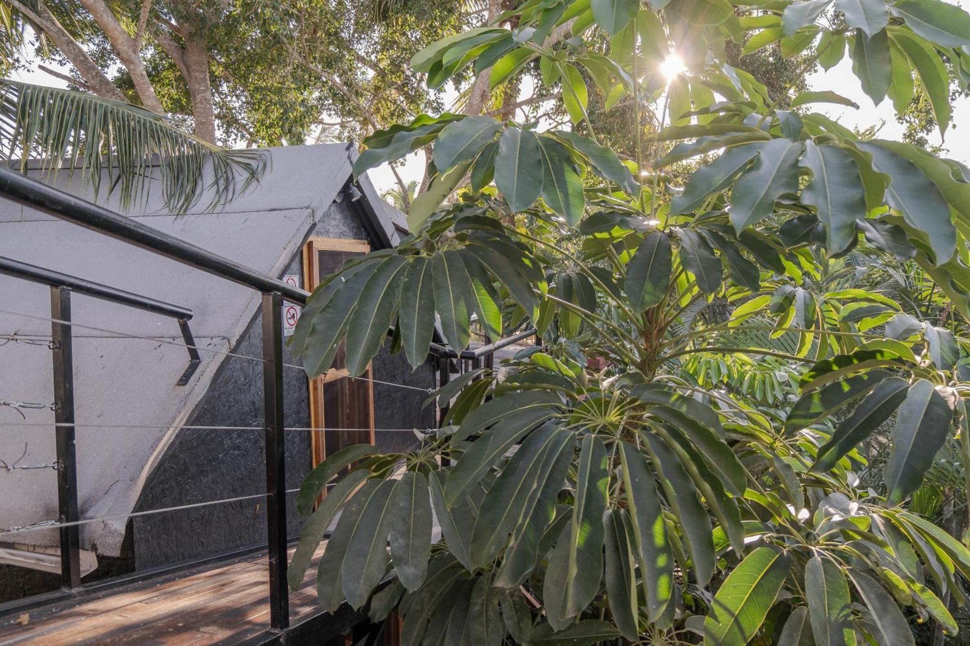 El Refugio De Sayulita - Health And Wellness House Hotel ภายนอก รูปภาพ