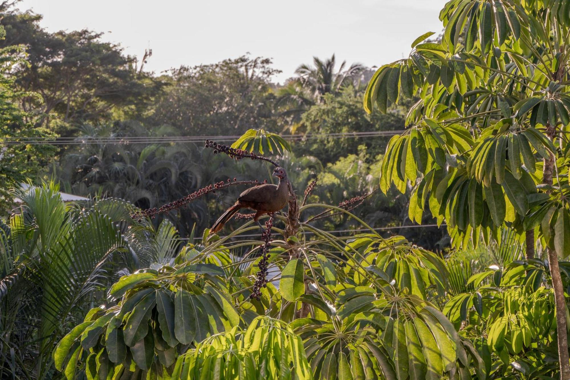 El Refugio De Sayulita - Health And Wellness House Hotel ภายนอก รูปภาพ